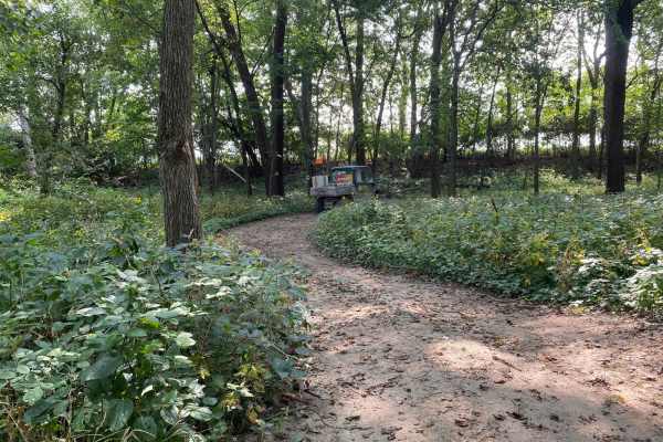 Turtle Trail