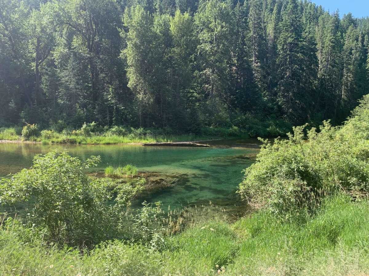 North Fork Coeur d'Alene River (209) photo 3