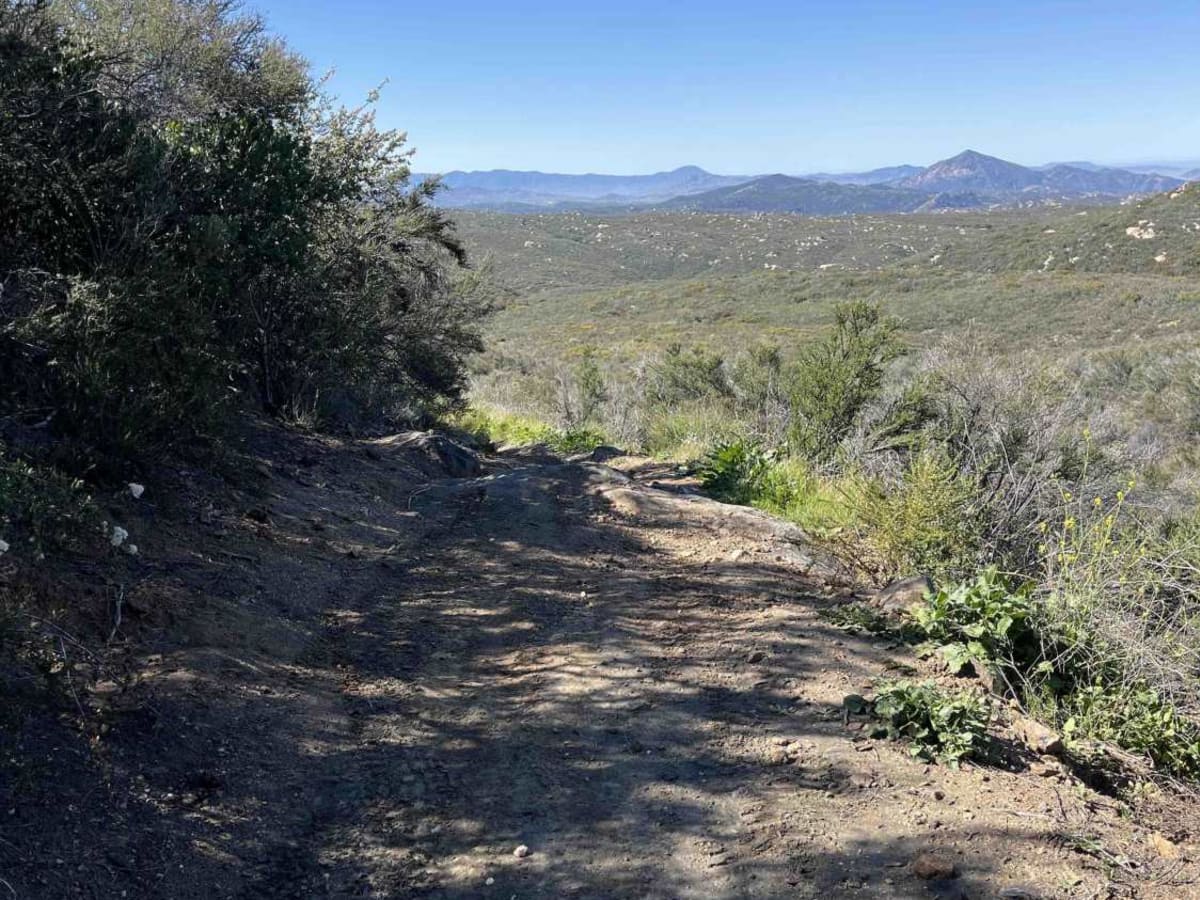 Spur Meadow photo 2