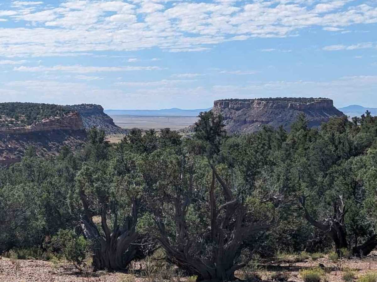 Lost Spring Mesa BLM 2100 photo 6