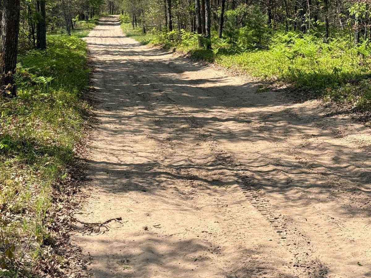Sandy Berm Trail photo 4