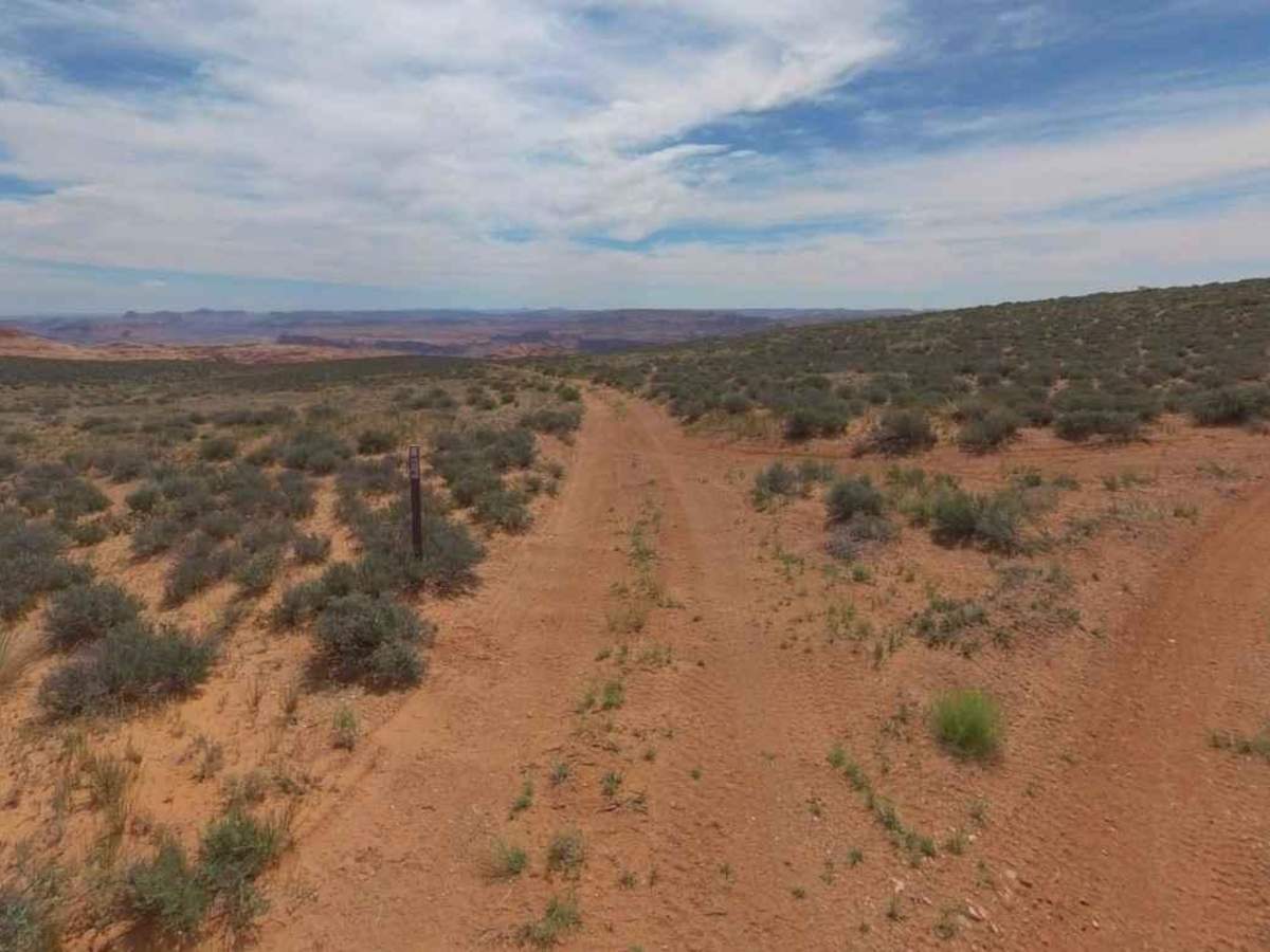 BLM13480 photo 4