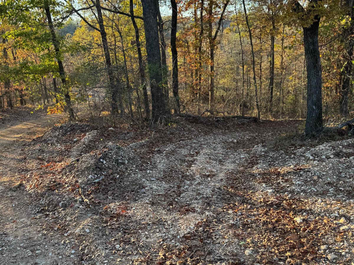 Green 153 trail photo