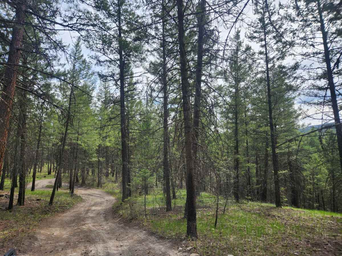 Pinkham Falls Route photo 5