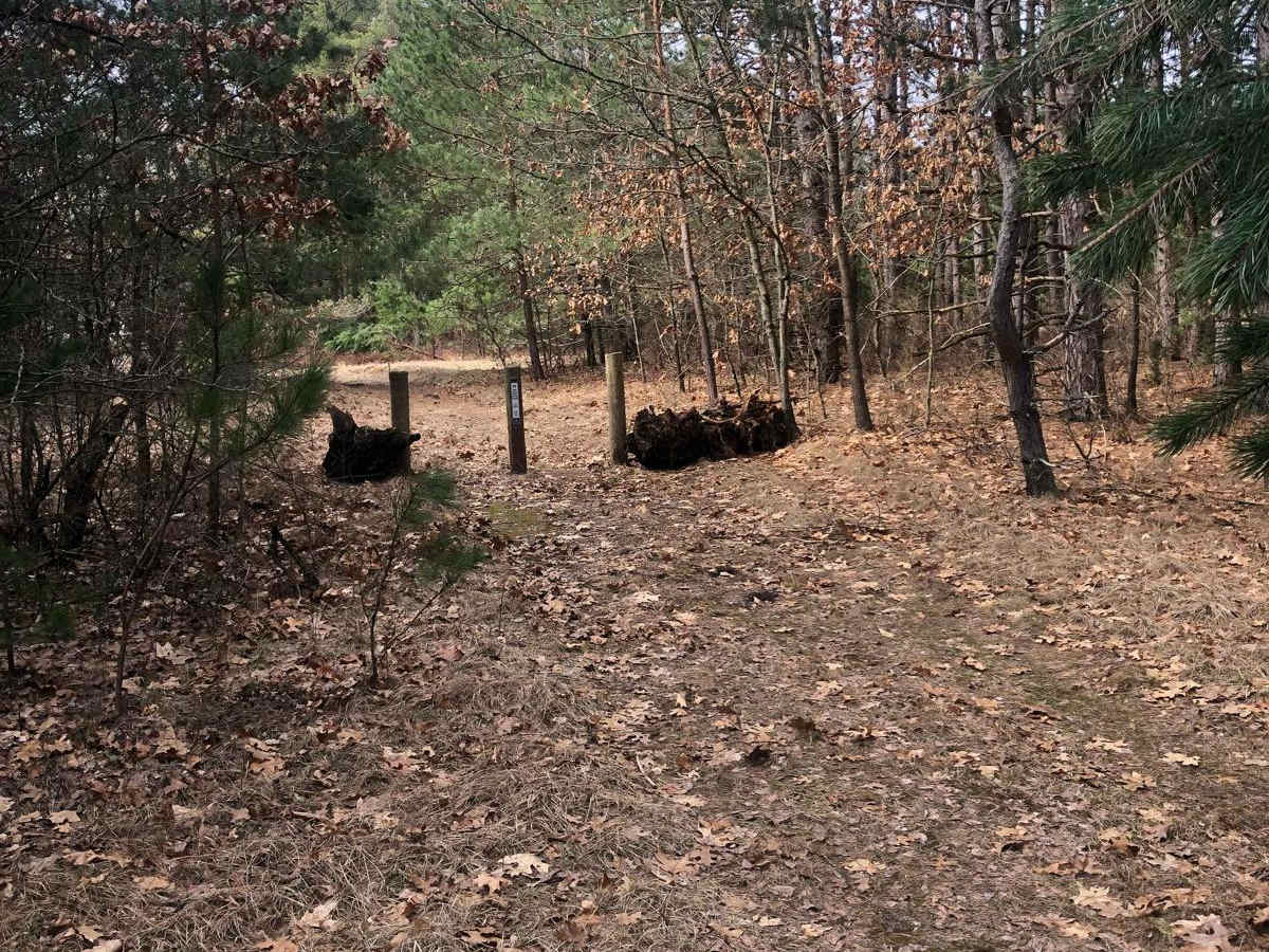 NFS Road 9883 photo 5
