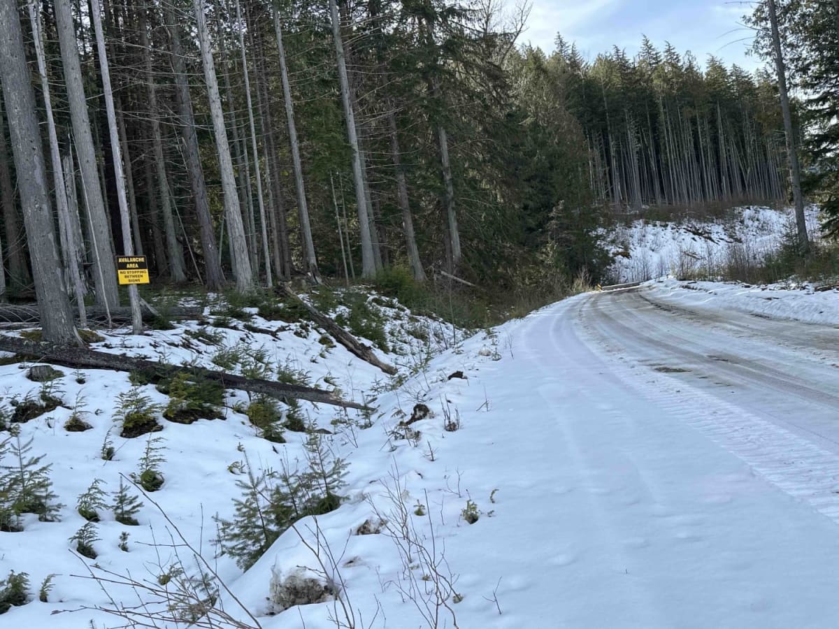 Monashee FSR/Yeoward Creek Road photo 3