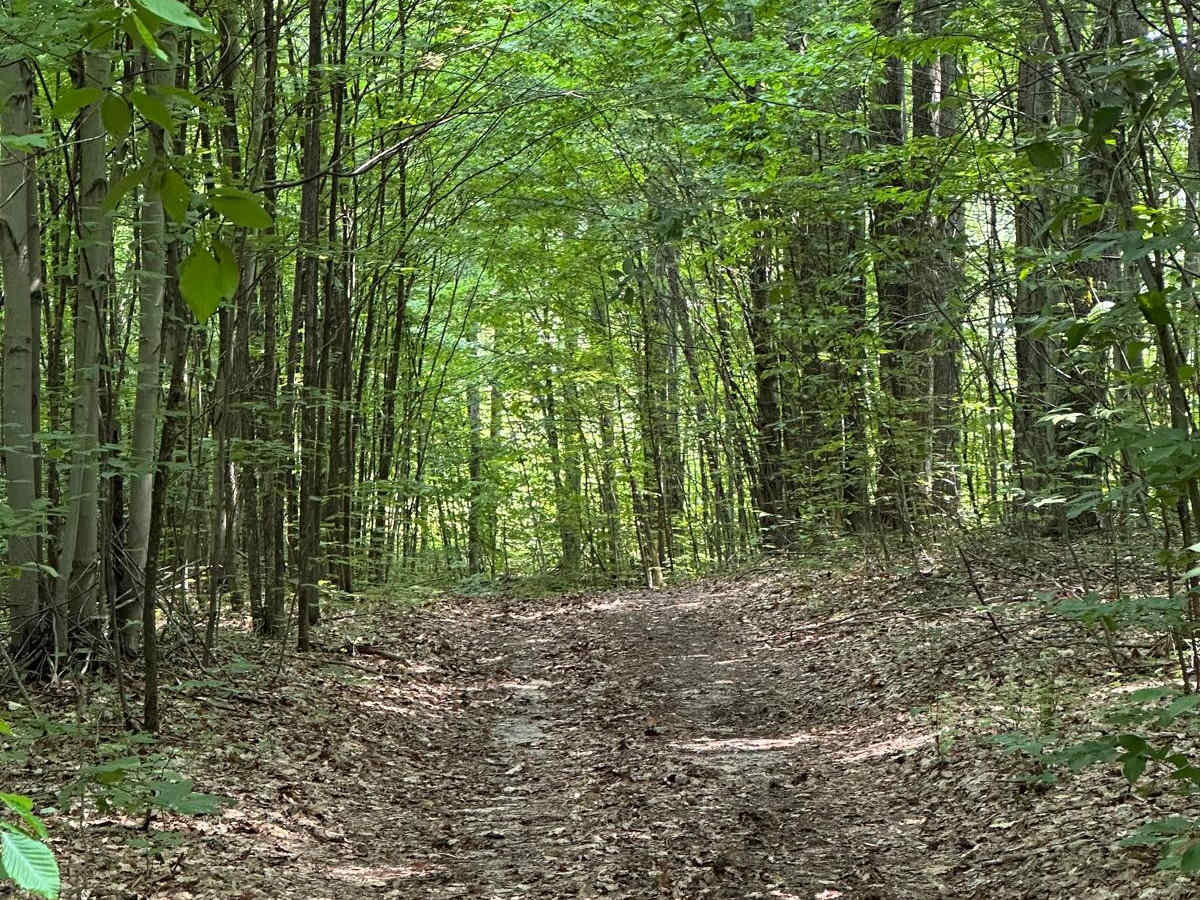 South Reynolds Road Spur photo 5