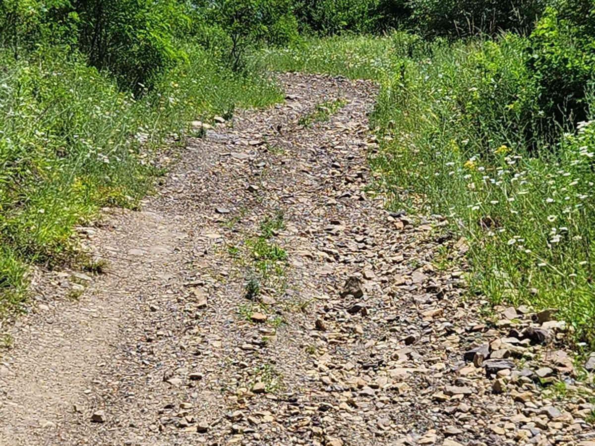 Trail 5I - Rock Run Recreation Area photo 4