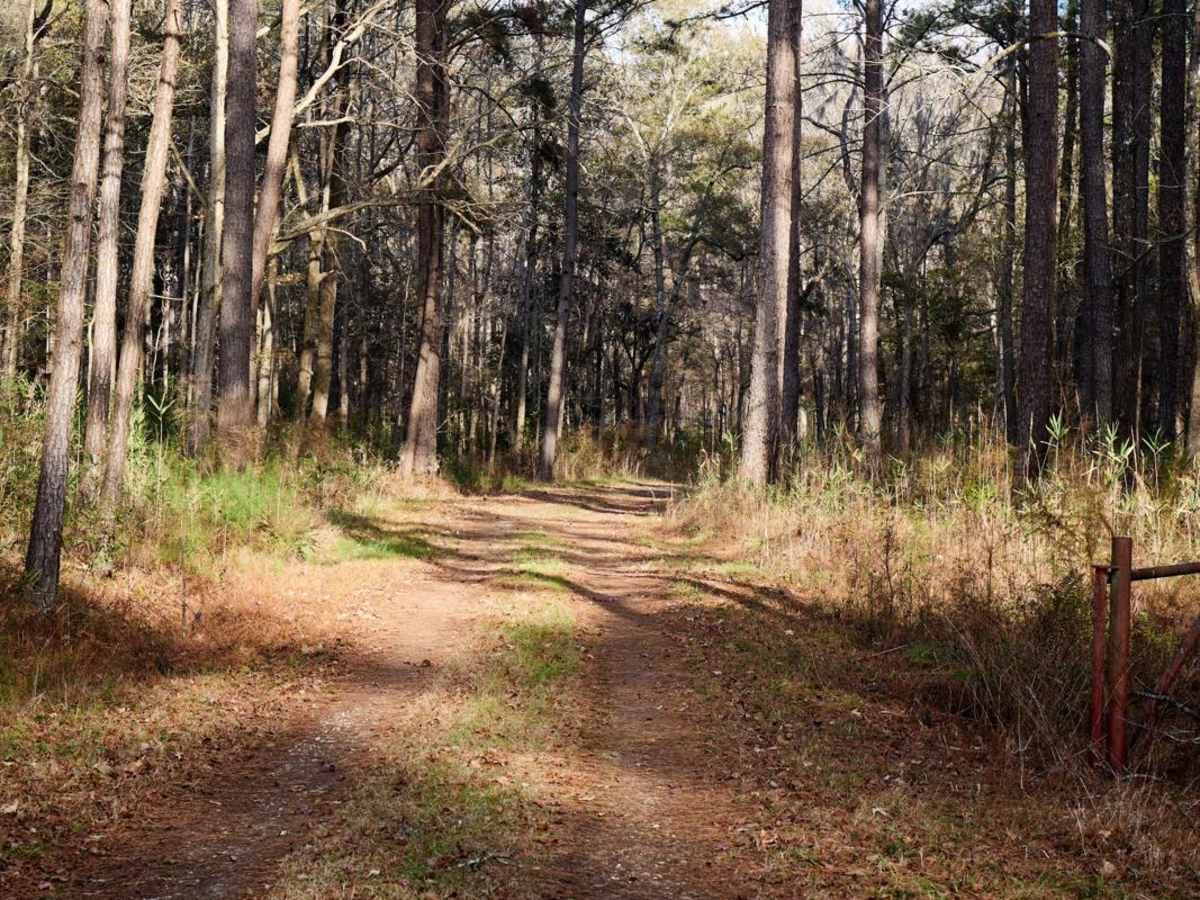 GW Roberts Road - Donnelly PT. 7 photo 5