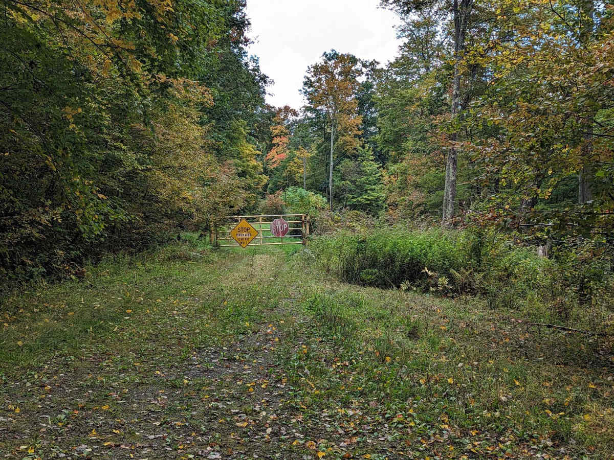 Dennis Road photo 3