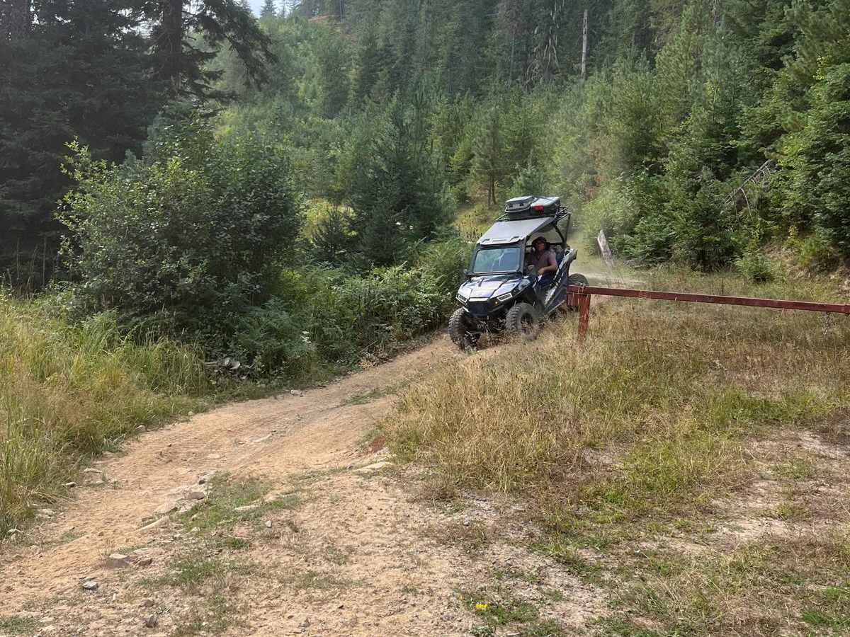 Tree Line Ride photo 2
