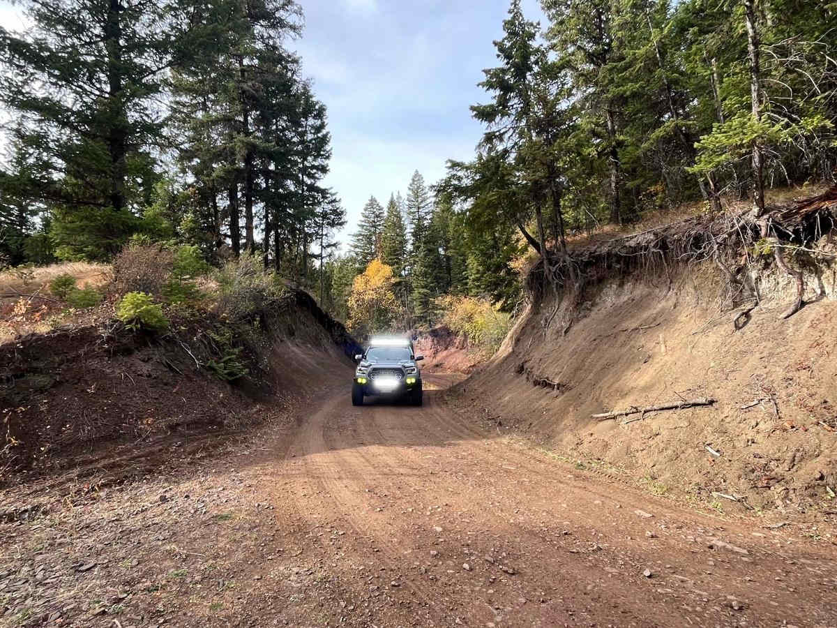 Pinaus Lake Road to Pinaus Lake North Rec Site photo 3