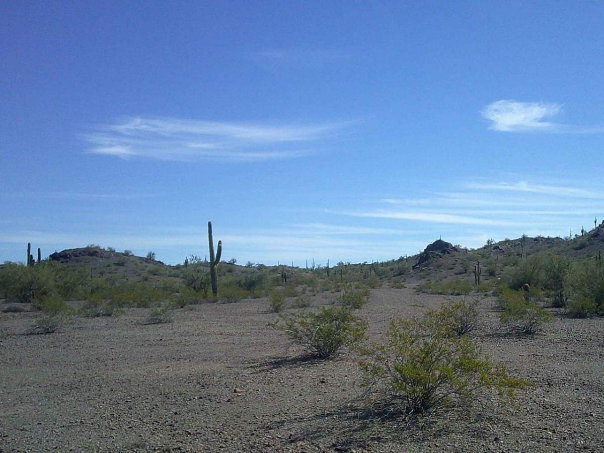 White Peaks photo 3