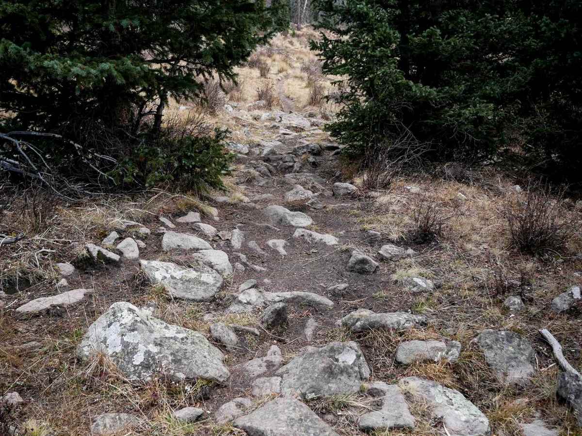 Groundhog Single Track photo 6