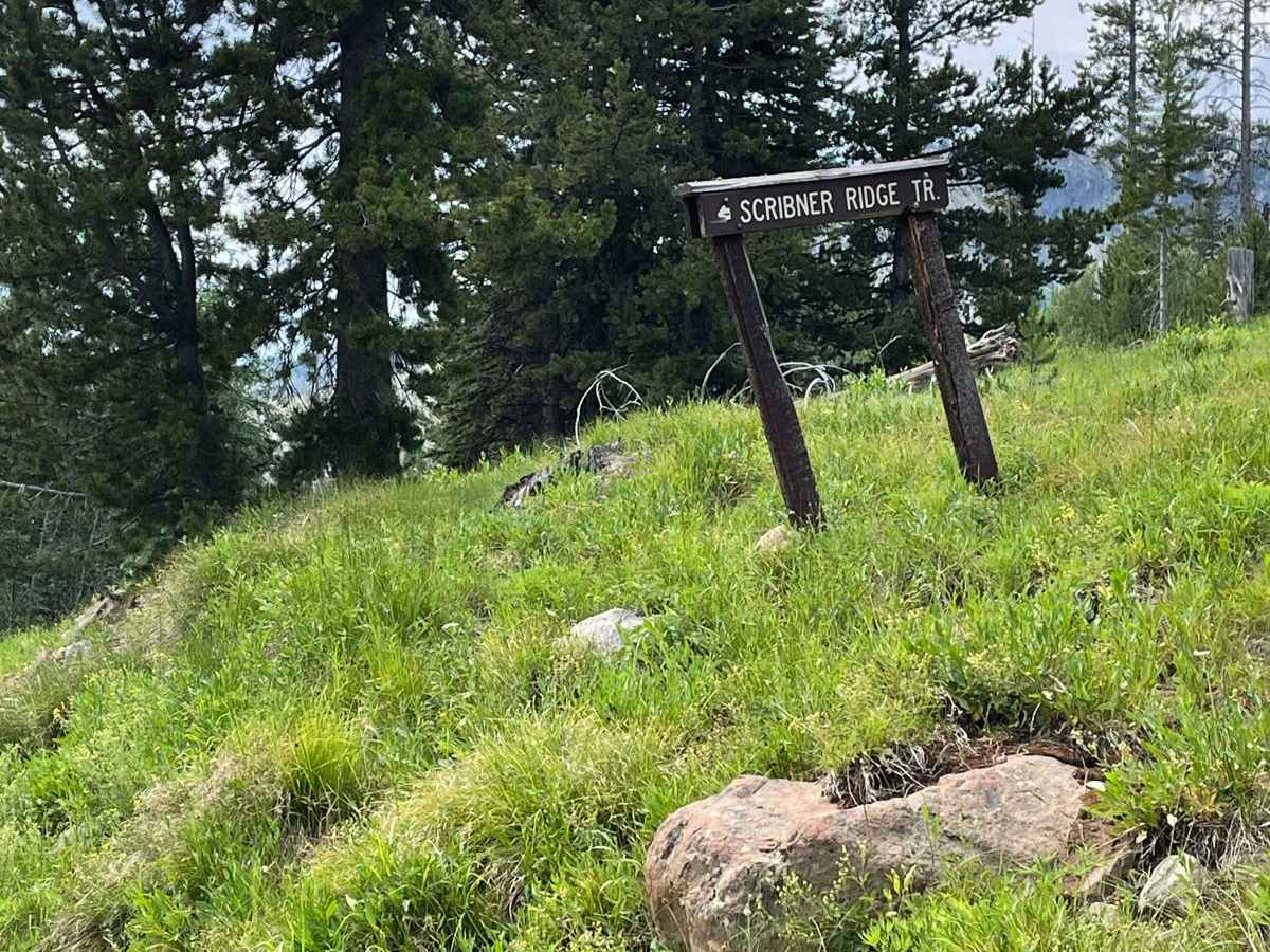 Scribner Ridge trail photo
