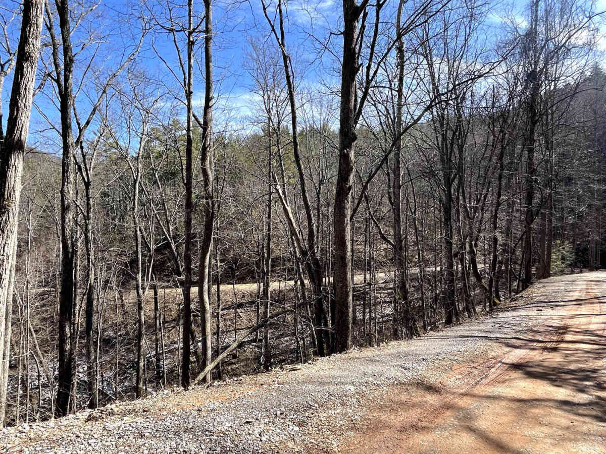 Citico Creek South photo 3