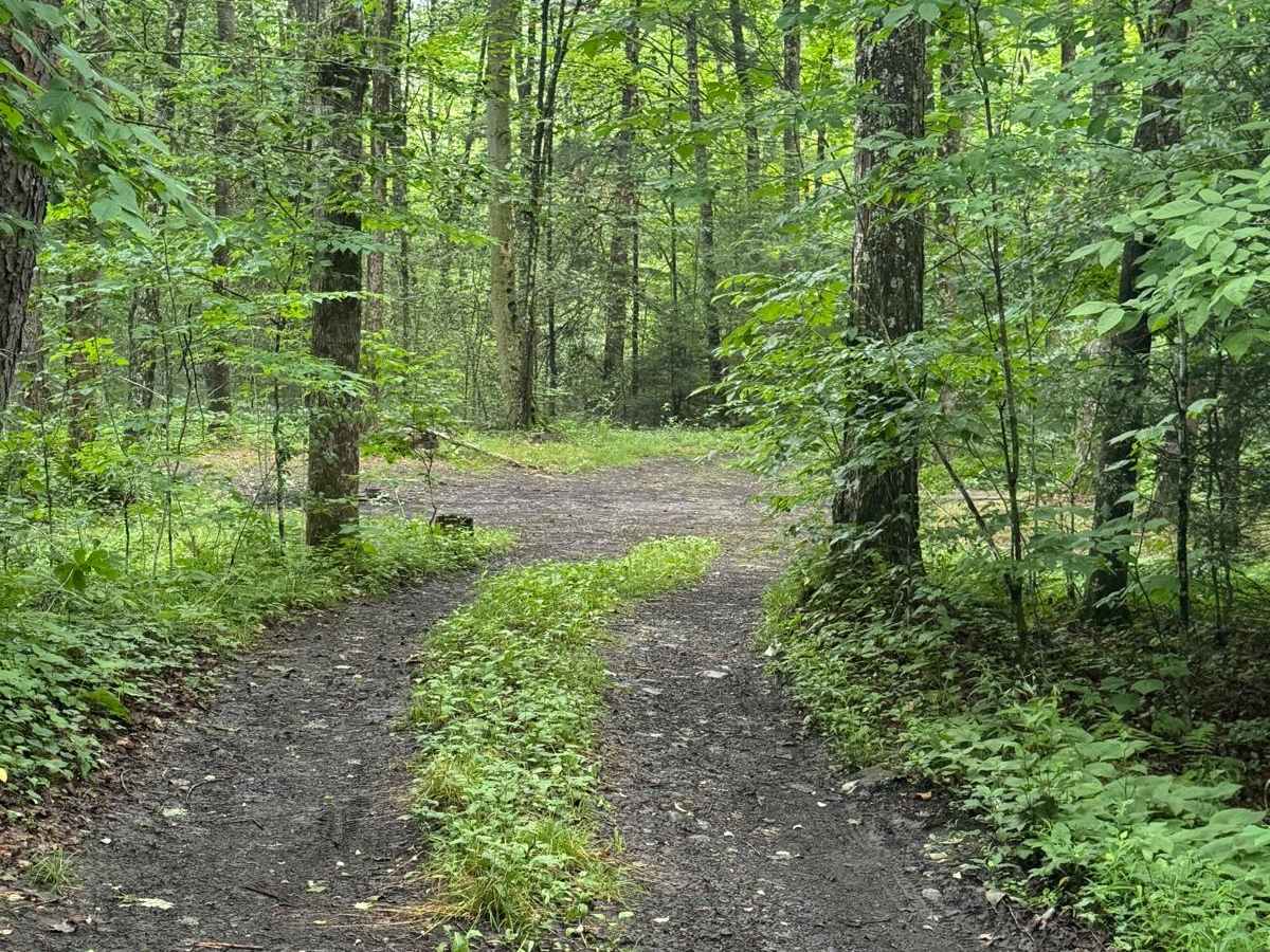 County Line Road photo 6