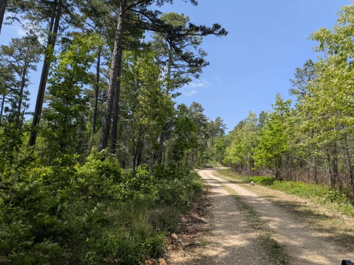 Merrill Ridge photo 6