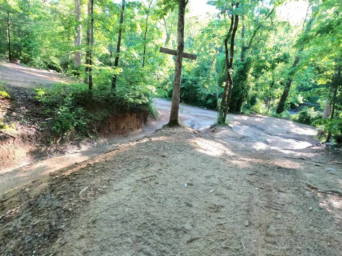 Oak's Detour photo 3