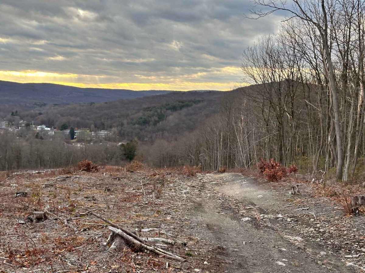 Ashland 184 trail photo
