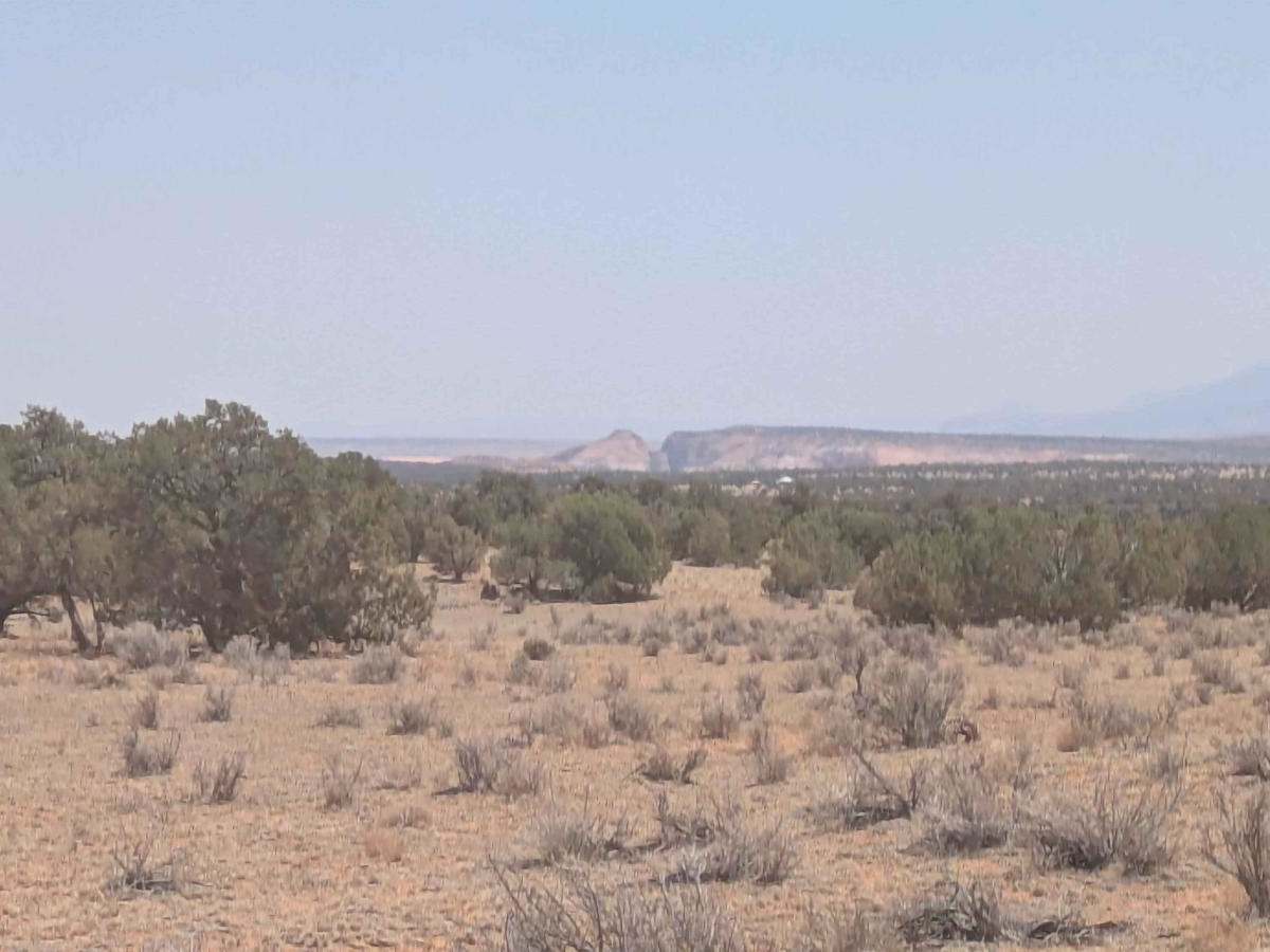 Cedar Ridge Climb photo 4