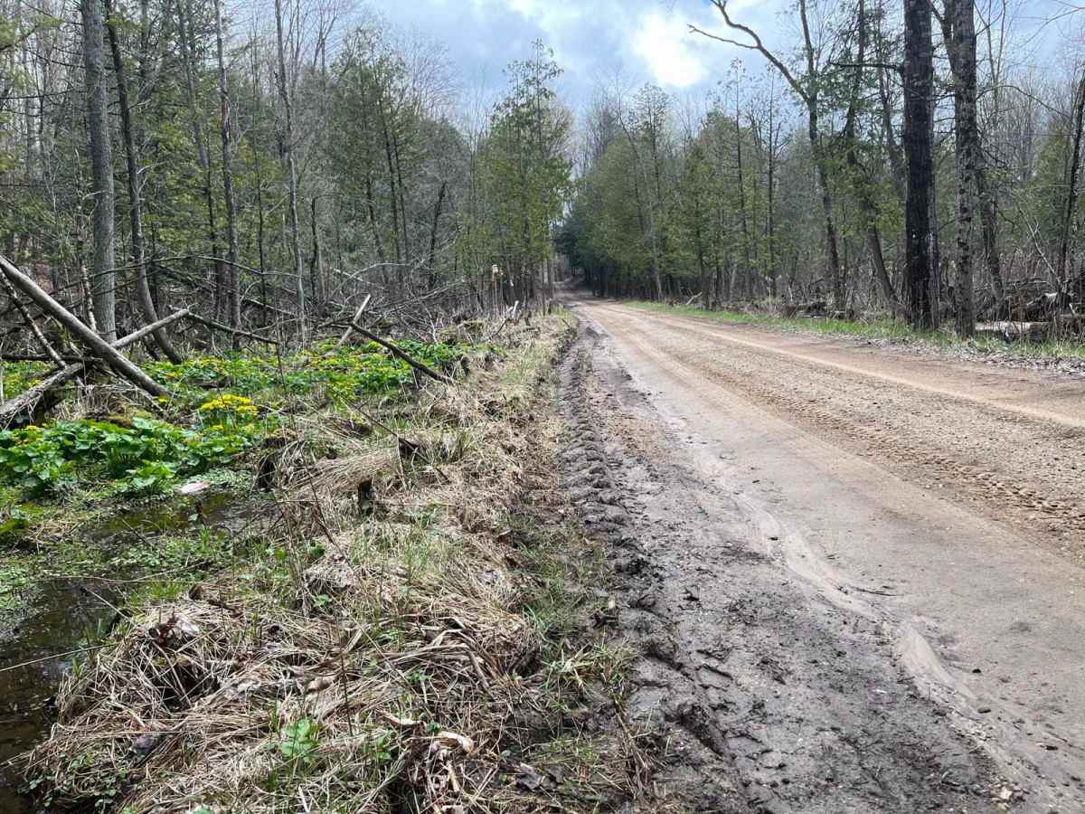 County Line Road photo 2