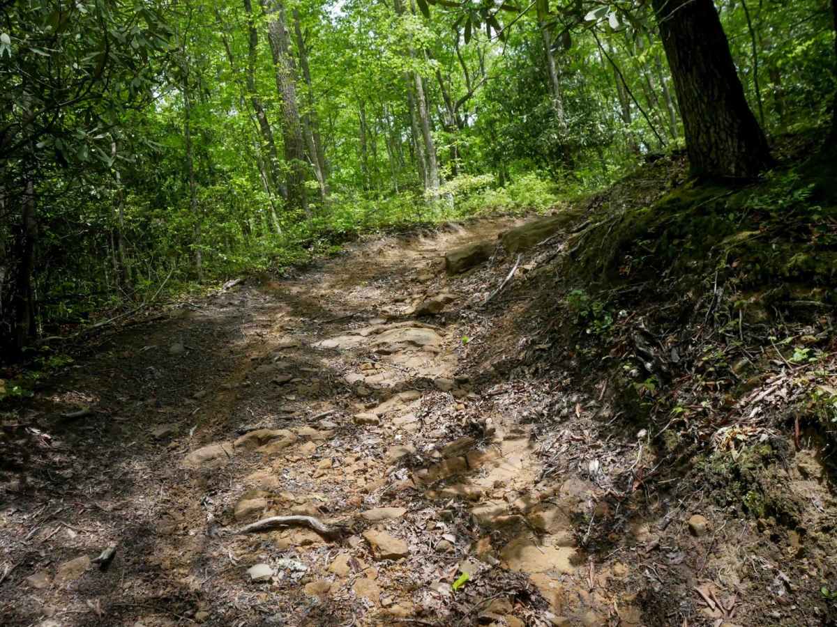 OP 93 trail photo