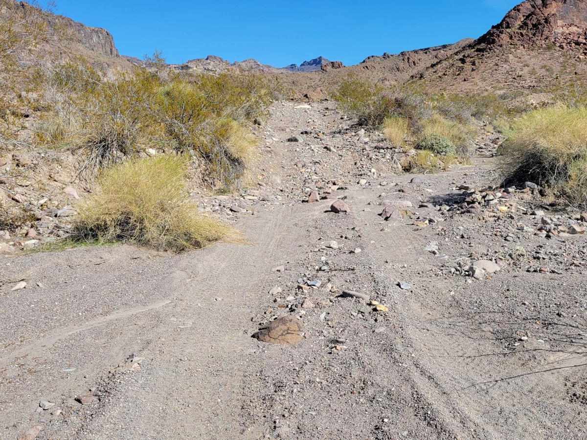 Cottonwood Canyon photo 3