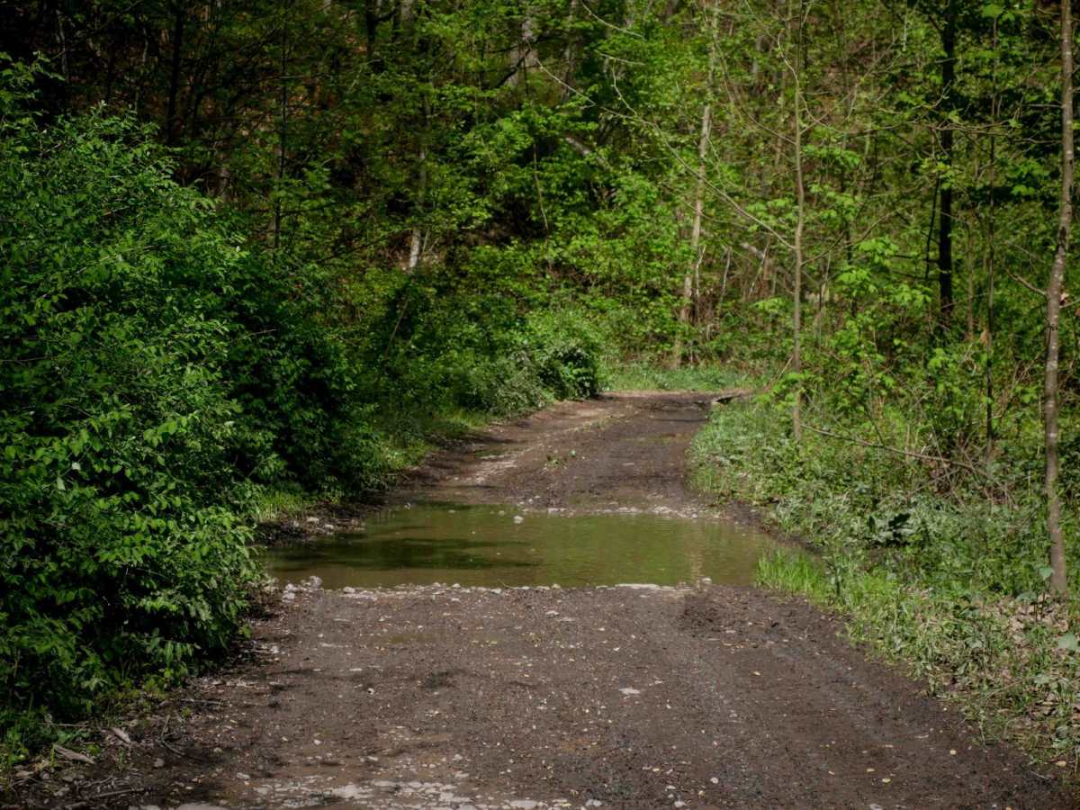 IR 26 trail photo