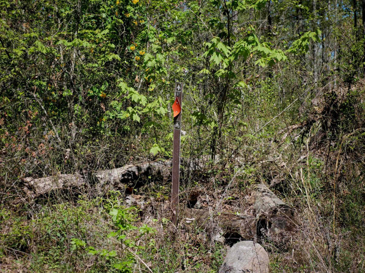 Brock 52 photo 2