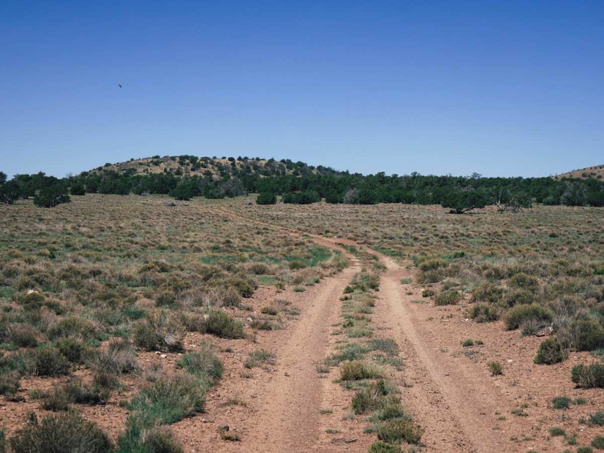 Pasture Pass photo 3