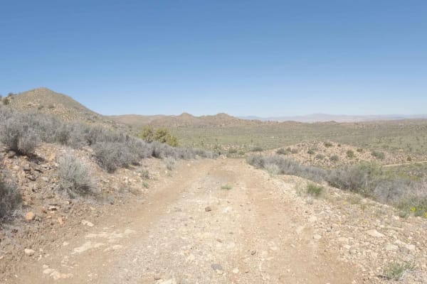 Spur - BLM C2317