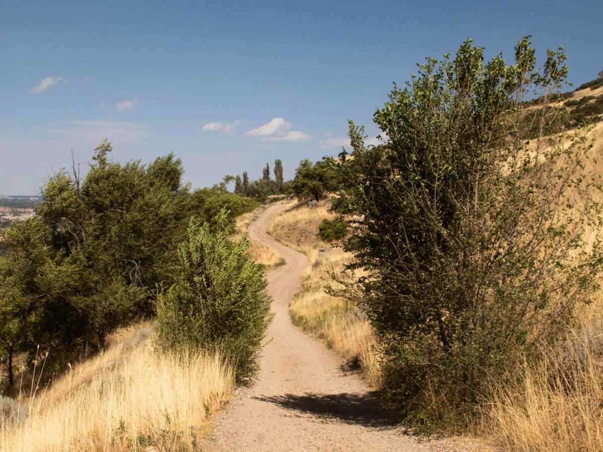 Centerville Firebreak Road photo 6