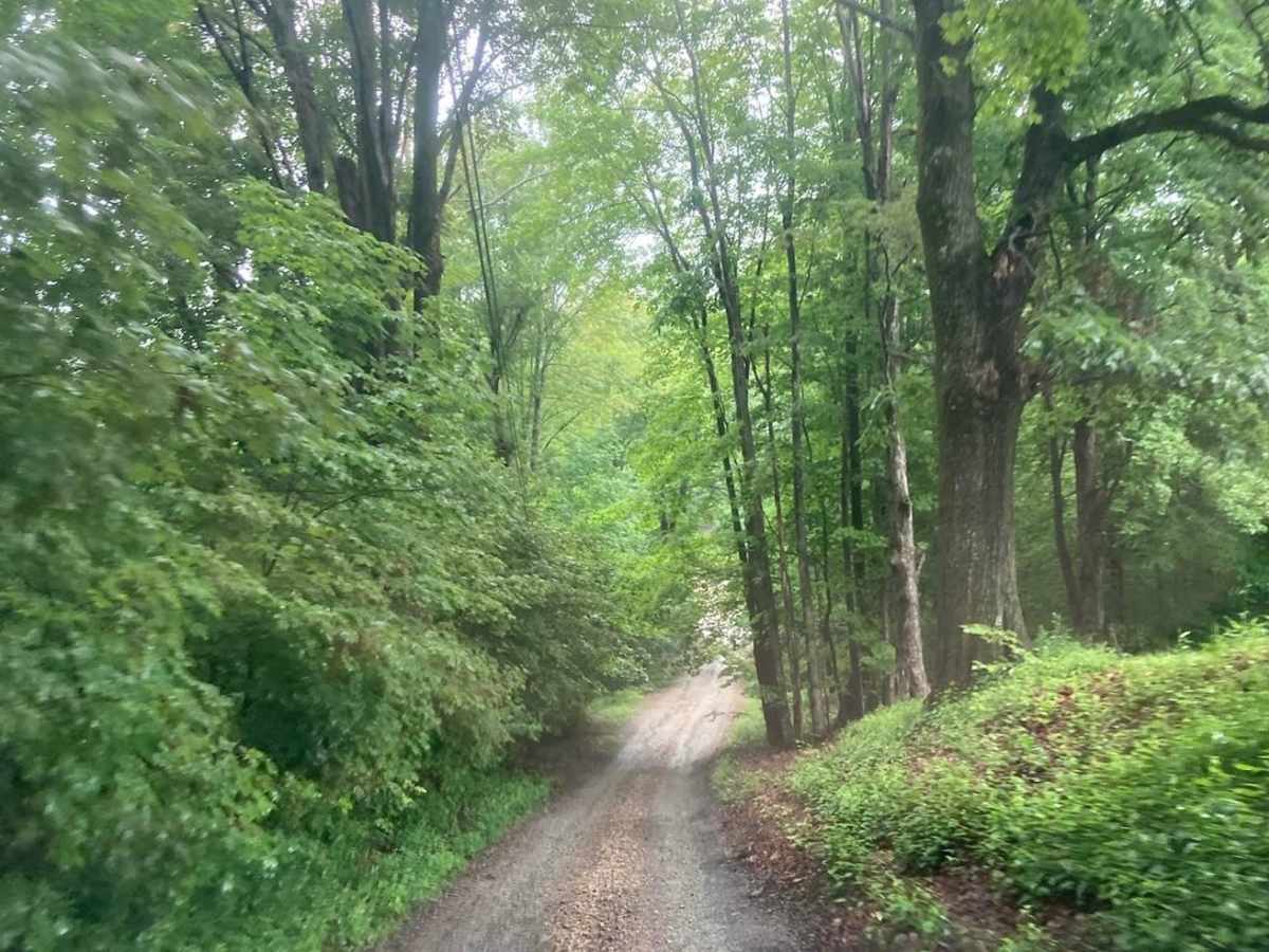 Natty's Route photo 4
