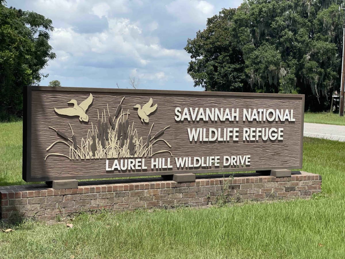 Savannah National Wildlife Refuge Scenic Drive trail photo