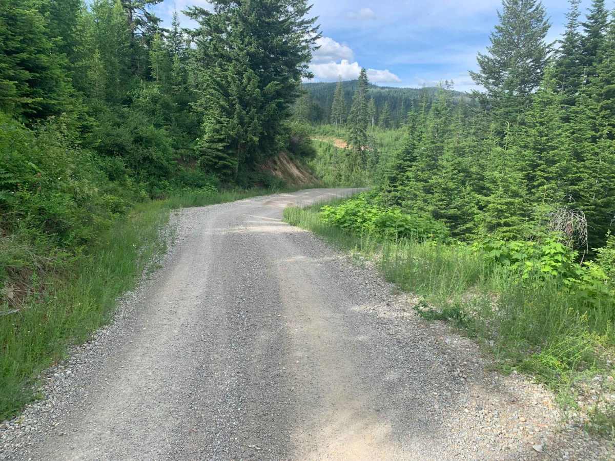 Brickel Creek Road photo 6