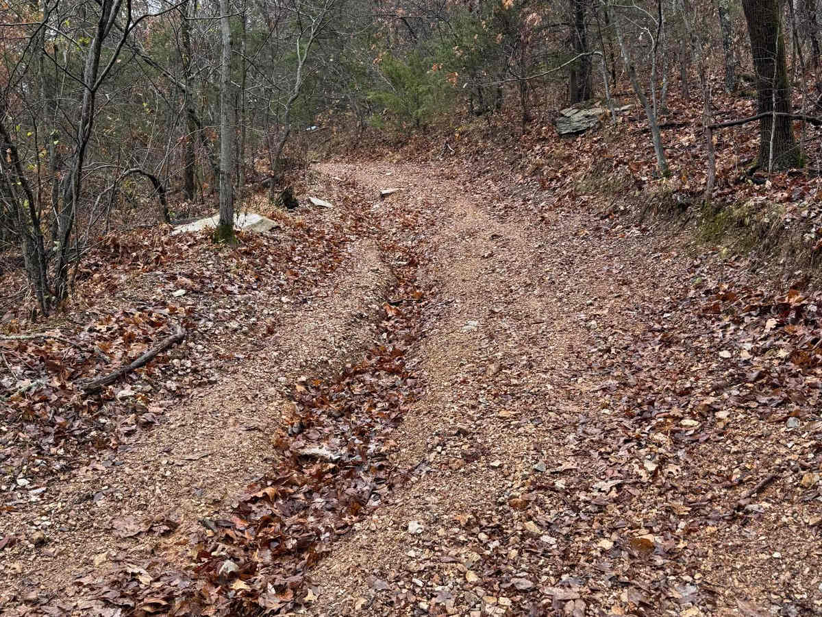 Green 90 trail photo