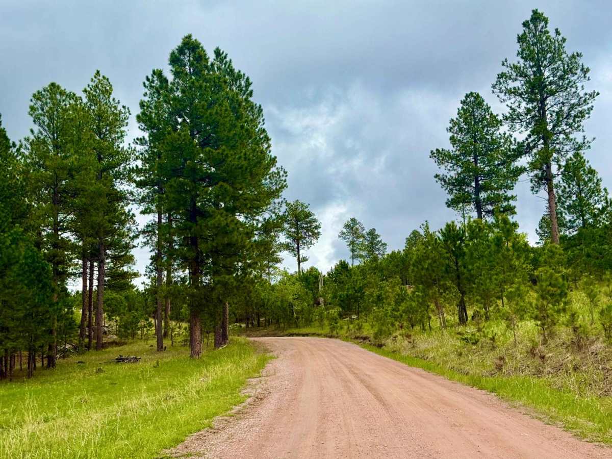 Twin Springs Cutoff (Branch 1A) trail photo