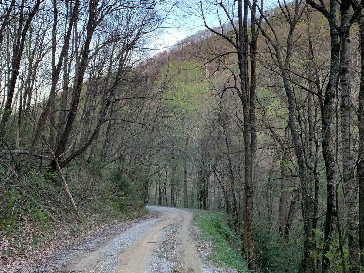 Upper Santeetlah - 81 photo 4