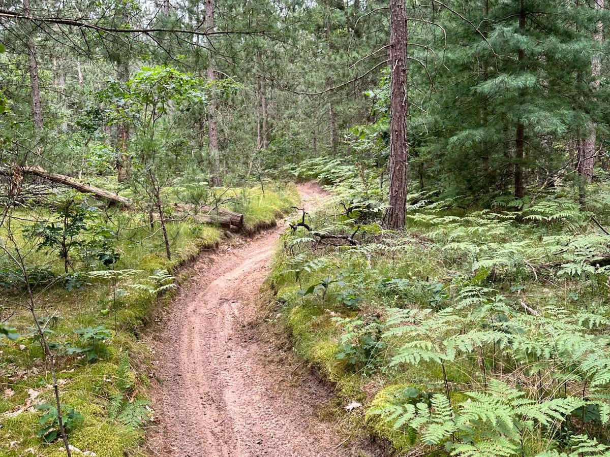 Little Manistee/Lincoln Hills Connector - Motorcycle Trail photo 2
