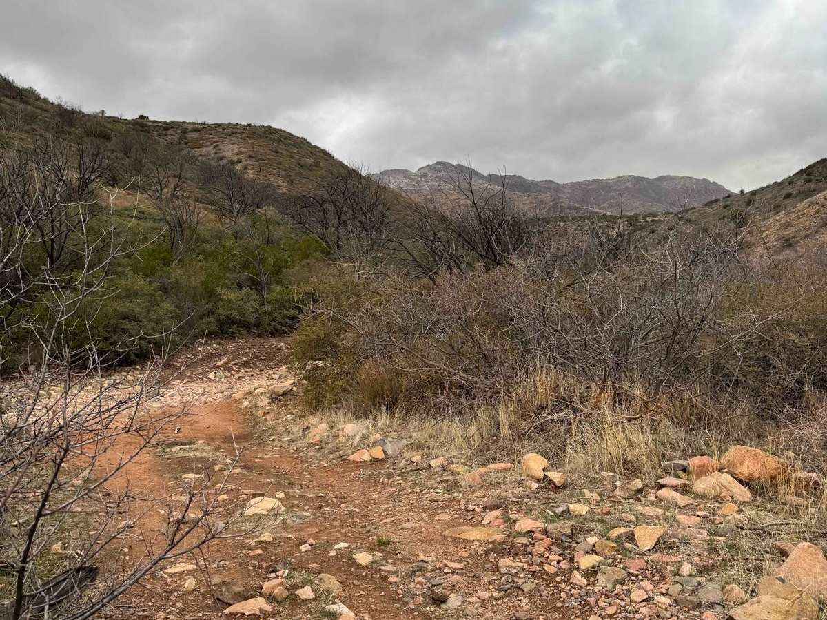 Benchmark Mountain photo 6