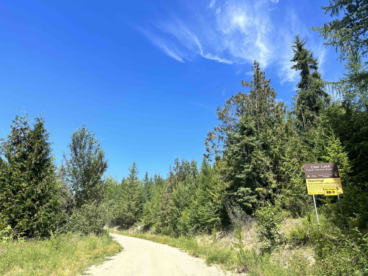 Camel Hump FSR photo 5