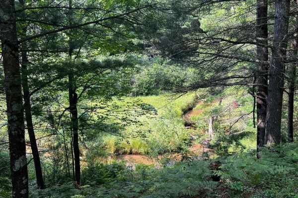 Soper Creek Trail
