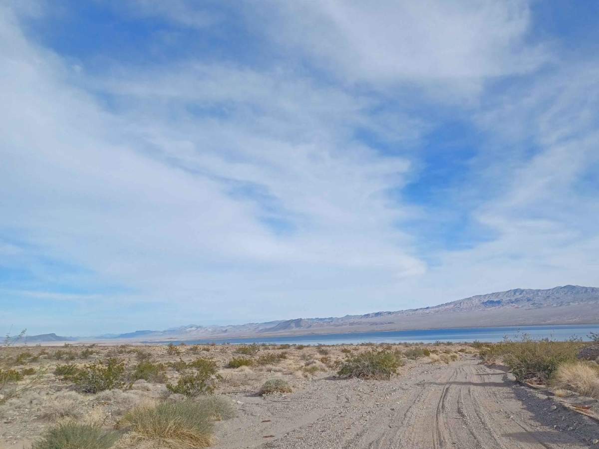 Nellis Cove Road photo 4