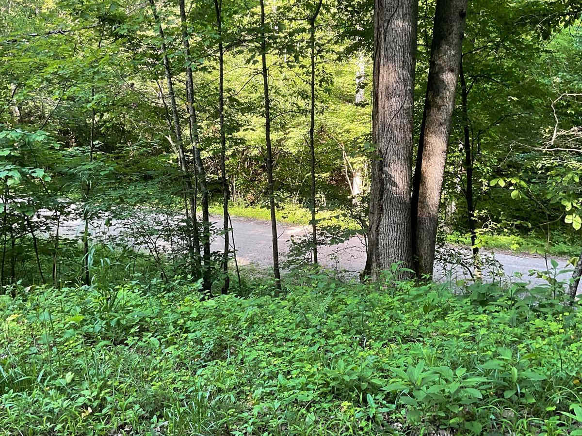 State Forest Road 2 photo 6