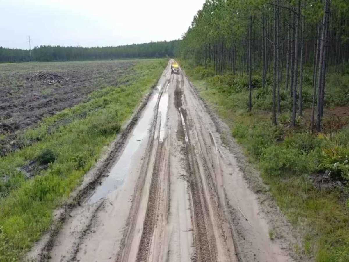 Satilla WMA Tour photo 3
