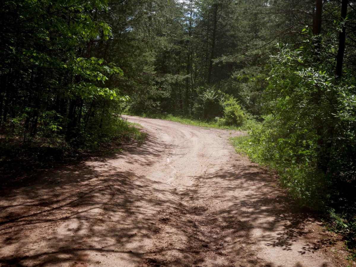 Trail 20 Mud Pit trail photo