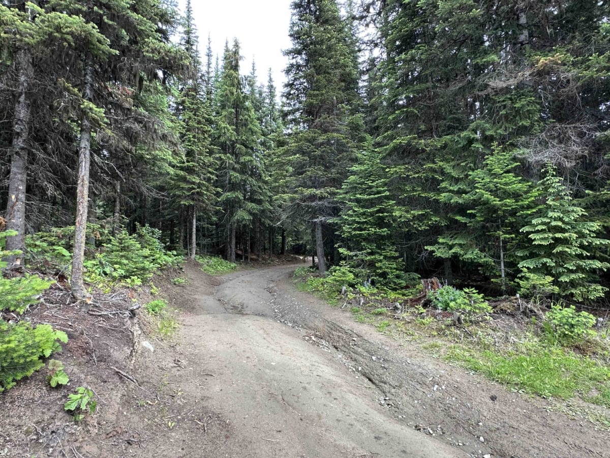 Whitewood Lake Rec Site to Windfall Lake Rec Site photo 4