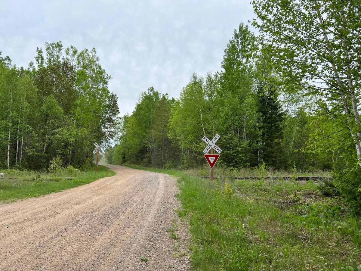 Wolf River Road Trail photo 3