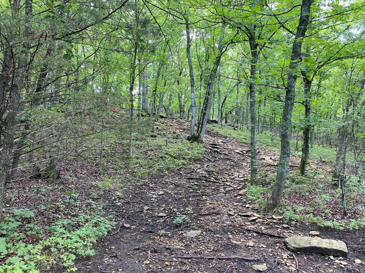 Z Hill trail photo